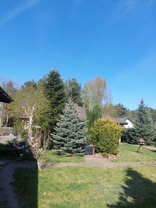 Sprzedam dom w Głogowie - Widok 3