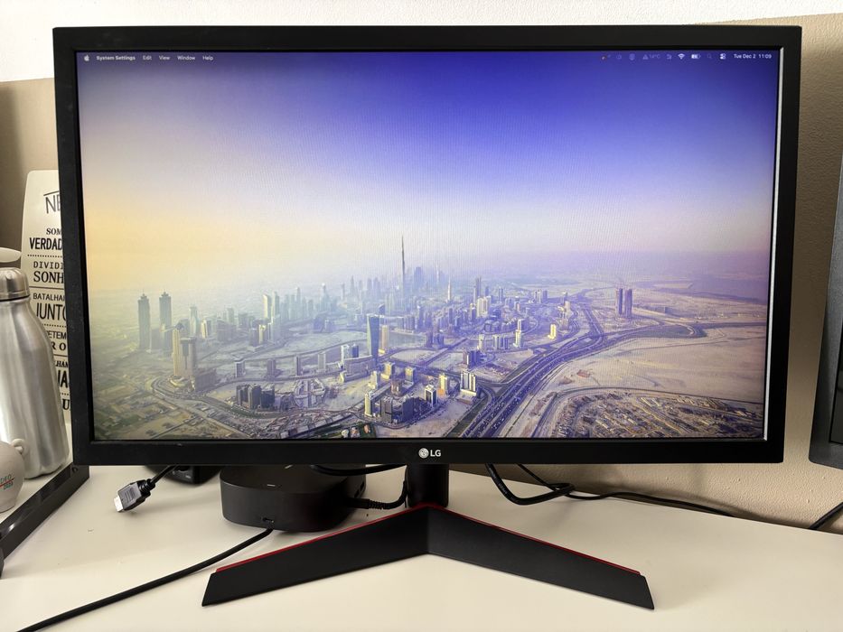 Monitor LG UltraGear 24”