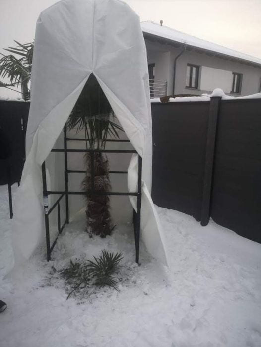 Pokrowiec zimowy, agrowloknina, osłona palm