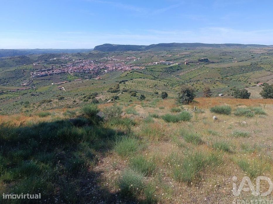 Terreno em Freixo de Espada à Cinta e Mazouco de 49572,00 m2