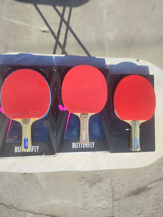 Butterfly-Timo-boll spirit-alc-zlc -Apolonia -Peter Korbel sk7