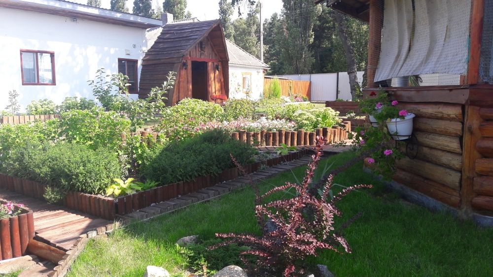 Подобова оренда будинку для відпочинку. Світловодськ.