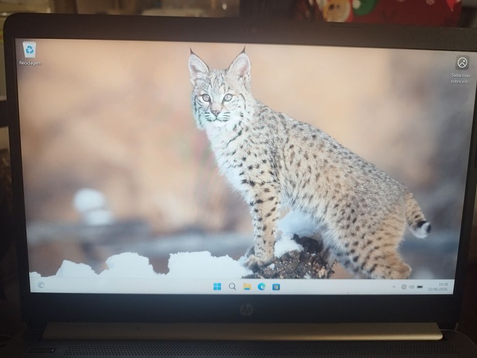Notebook HP 245 G8