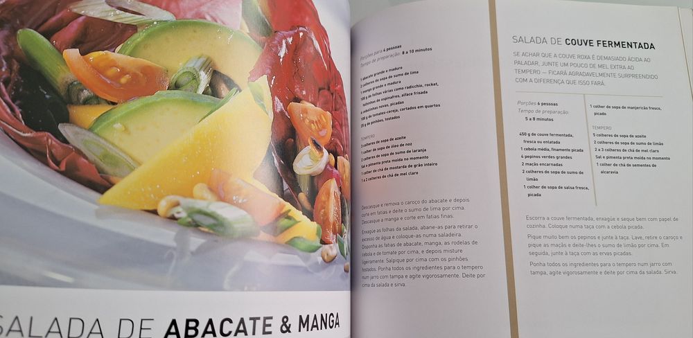 O livro do fondue 100 receitas