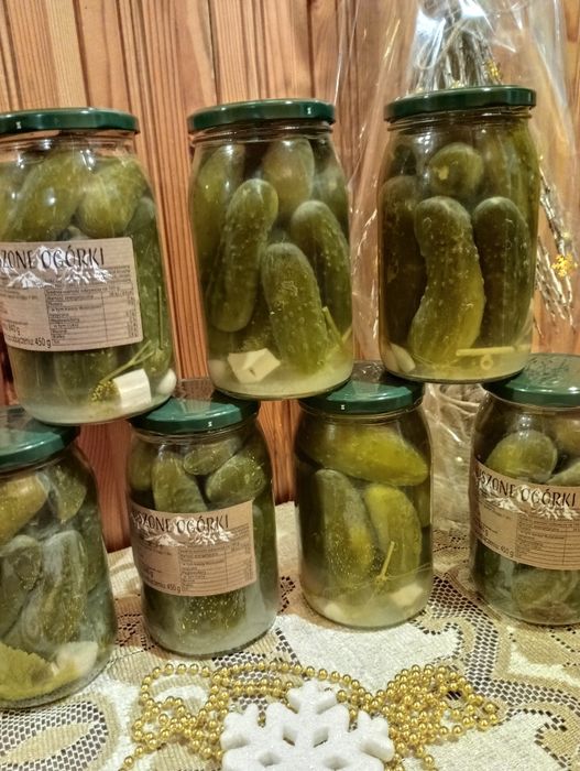 Ogórki kiszone, sezon 2025