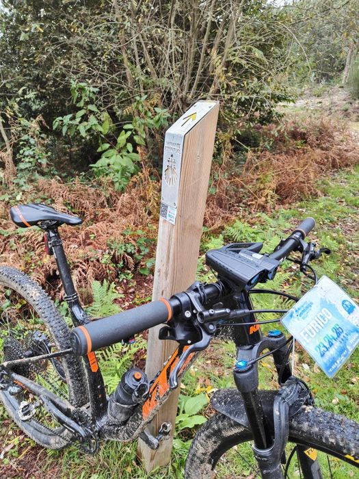 Ktm scarp one limited edition