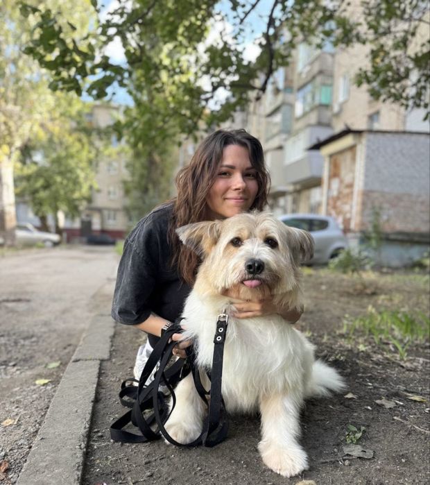 Собака в добрі руки