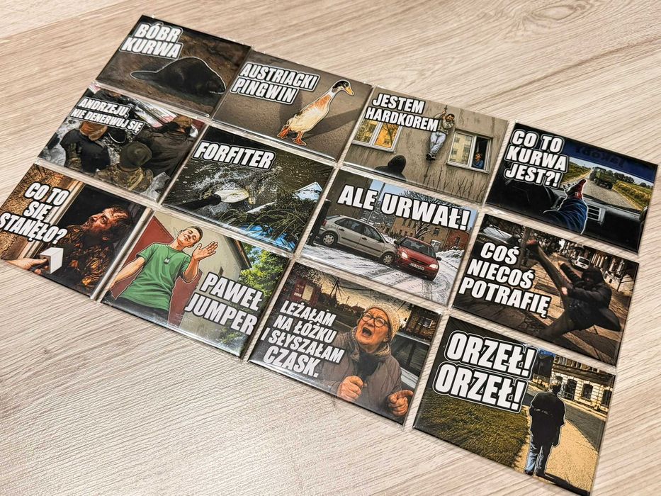 Zestaw 12 magnesów POLSKIE MEMY - premium -  Bóbr Kurwa - NOWE