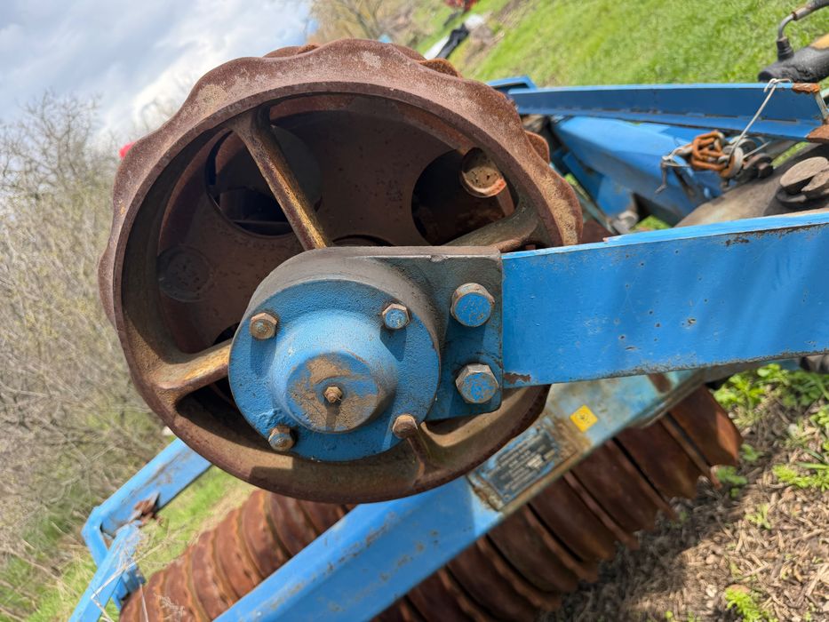 Коток зубчато кільчатий