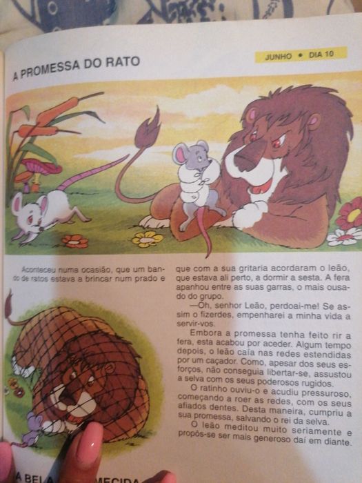 Livro "Os 365 melhores contos para cada dia"