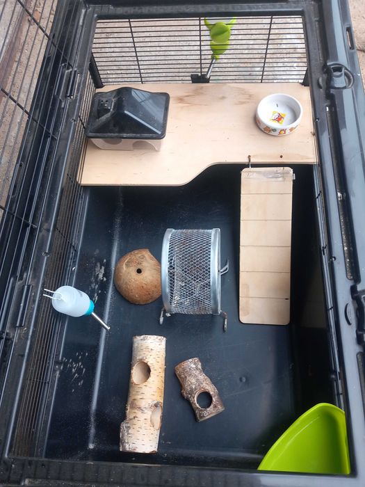 Klatka dla chomika chomików myszki świnek praktycznie nowa