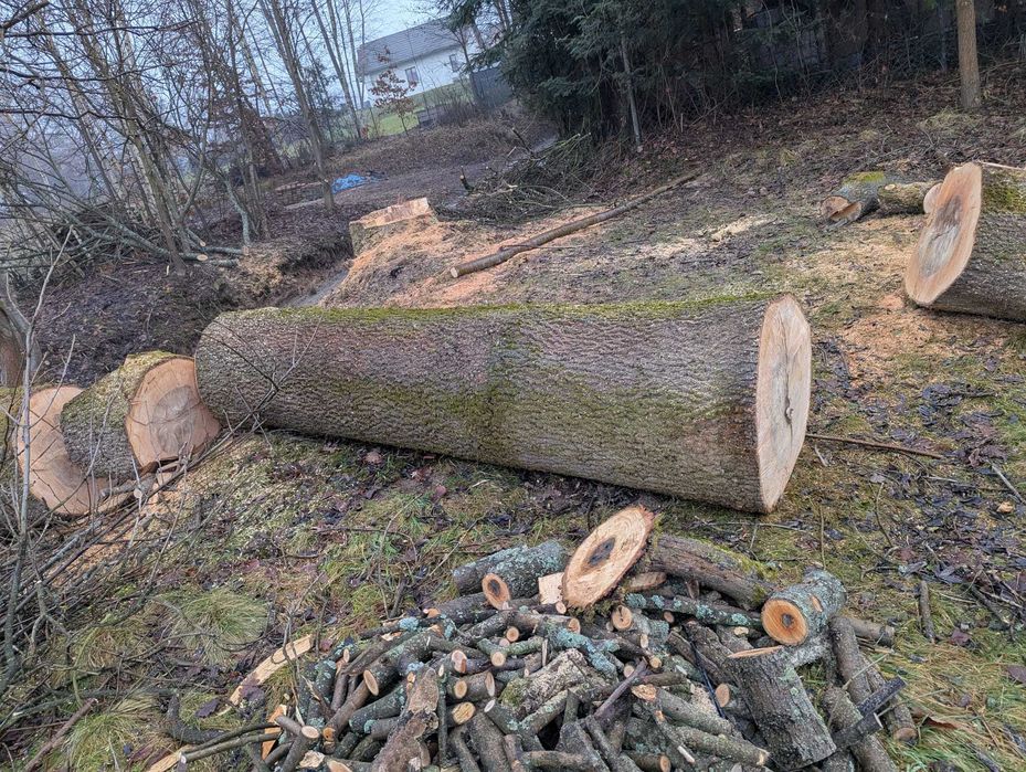 Jesion 330cm X 67cm = 1,163m3 To że Bardzo ładny widać
