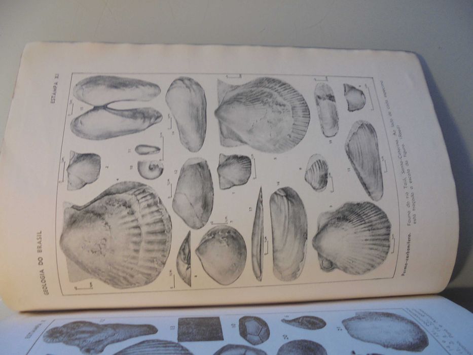 Oliveira (Avelino Ignacio);Geologia do Brasil