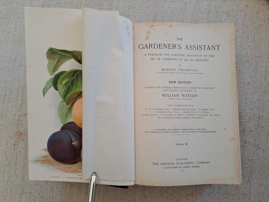 1910 rok. Asystent Ogrodników. The Gardener's Assistant. Tom II