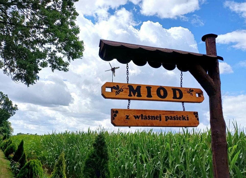 Miód z własnej pasieki