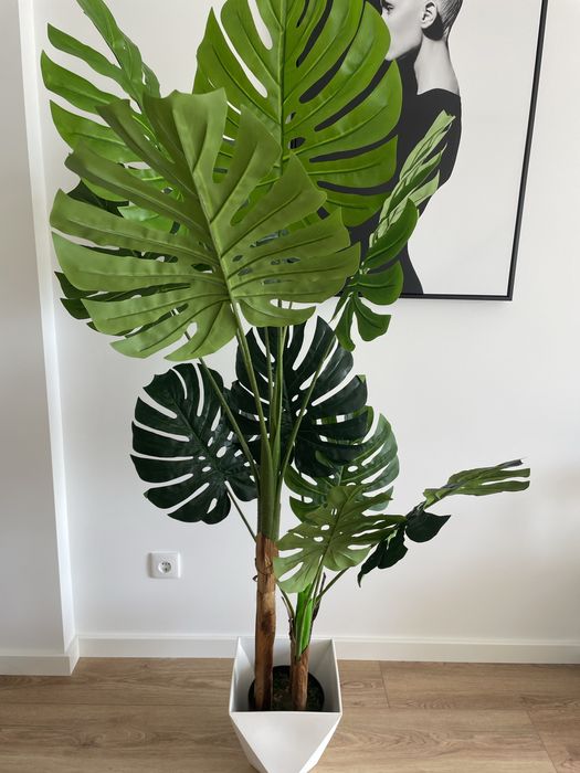 Beautiful artificial Adam's rib trees with delivery64585090243585121