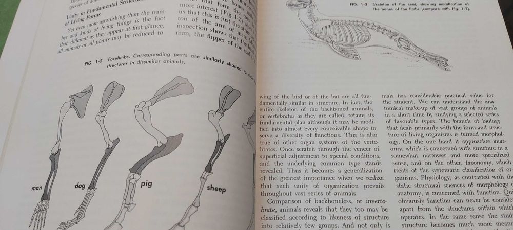 Livros Biologia Animal  -  Animal Biology por Guyer and Lane 5ª E 1964