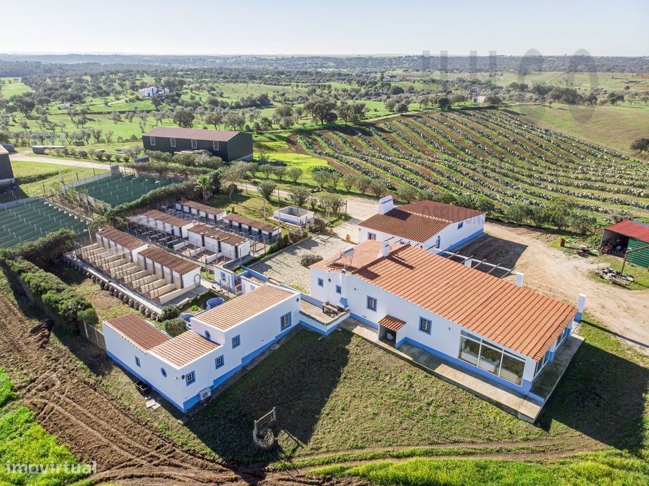 Vende-se Quinta/ Hotel canino, Nossa Senhora de Machede, Évora