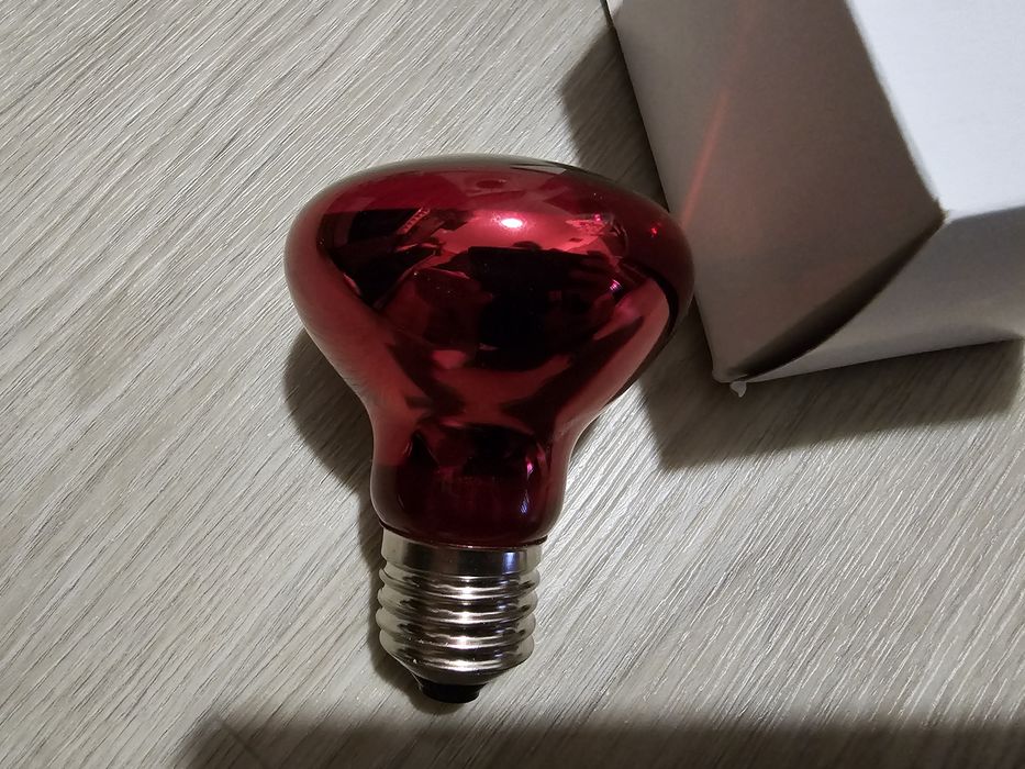 Лампа/Інфрочервона/брудери/для обігріву 75w