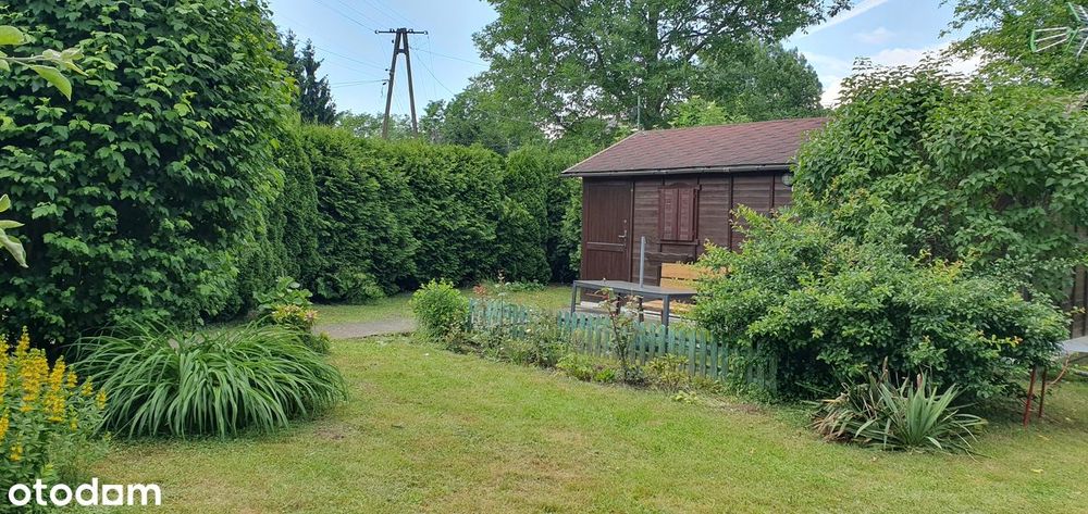 Sprzedaż działki 400 m² z domkiem, mediami w wsi