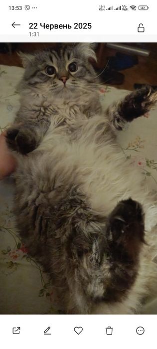 Невский маскарадный в'язка