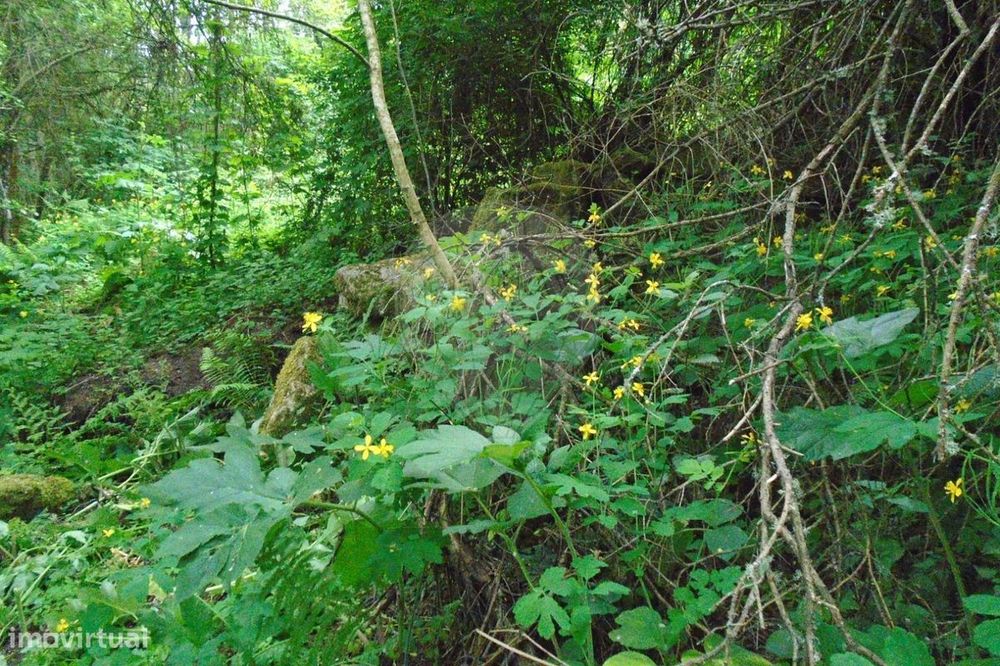 Terreno  para venda