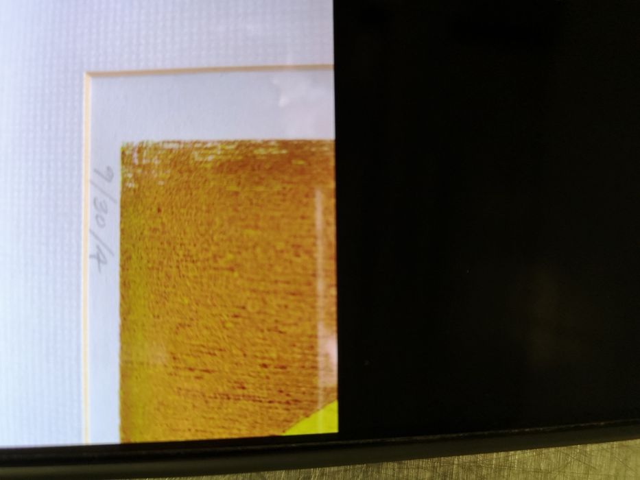 Serigrafia antiga de Espiga Pinto