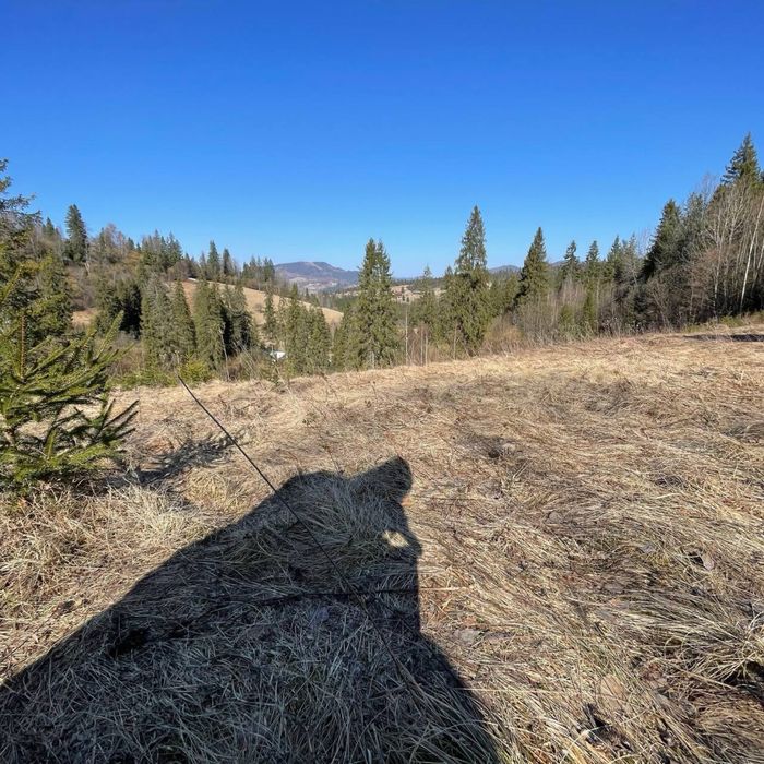 Земельна ділянка 1.5га у Славську. Власник