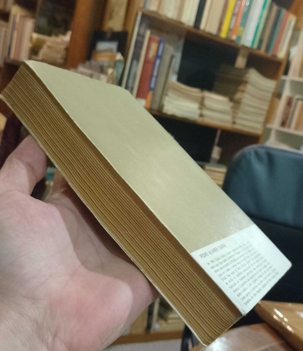 A Essência do Fundamento - Martin Heidegger