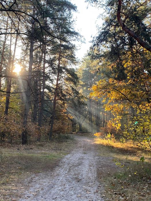 Продаж великої квартири за містом р-н, Конча-Заспа (Чапаївка)