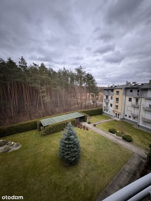 2 pokoje | 2 balkony | Widok na las | Super lokalizacja!