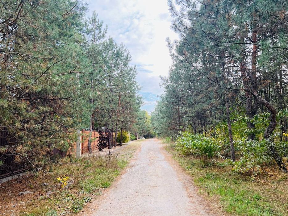 Продаётся участок в Обуховке на Заречной с выходом в сосновый лес