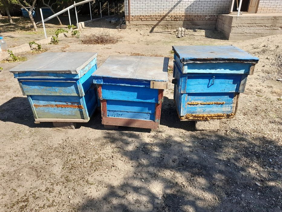 Продам улики для пчёл