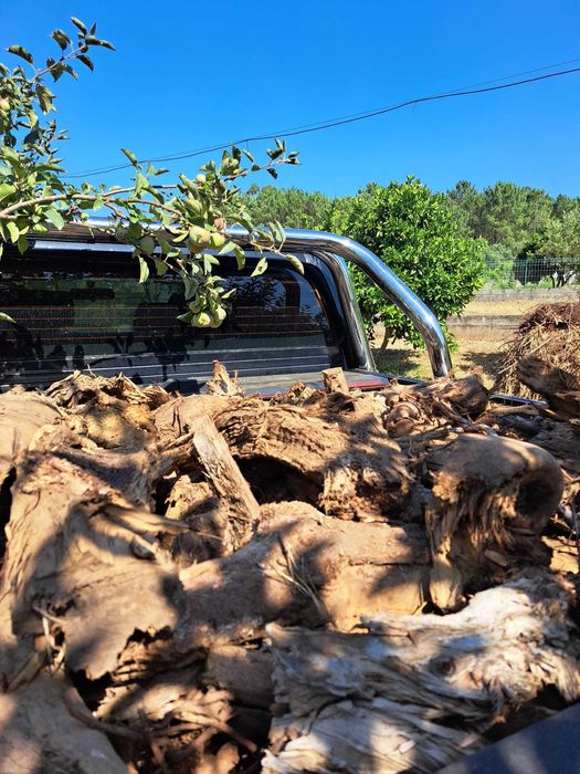 Lenha de Eucalipto Rachada Seca e Pronta a Queimar