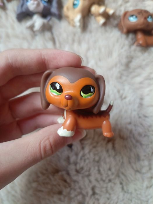 Lps jamnik #675 i monopoly