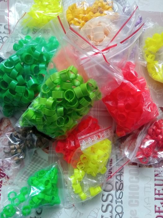 Znaczniki 12 mm dla kur gołębi