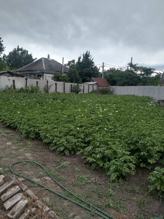 Продам часть дома в Солоницевке (п.Ольшаны) - Більше