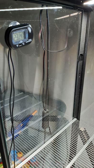 Szklarnia ikea Blaliden regał do kwiatów witryna