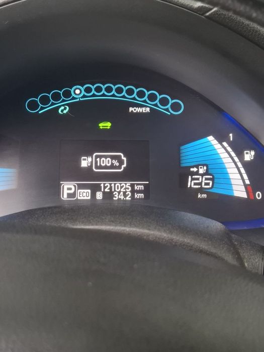 Nissal leaf РІДНА ФАРБА тепловий насос 10/12 SOH 76