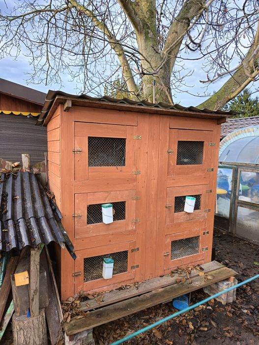 Klatka dla królików