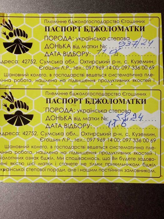 Продаю бджолопакети, бджоли.