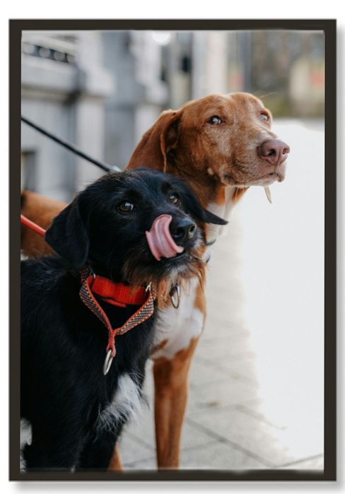 Spersonalizowane plakaty w ramkach na zamówienie