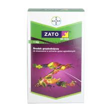 Zato 50 wg 1kg  truskawki