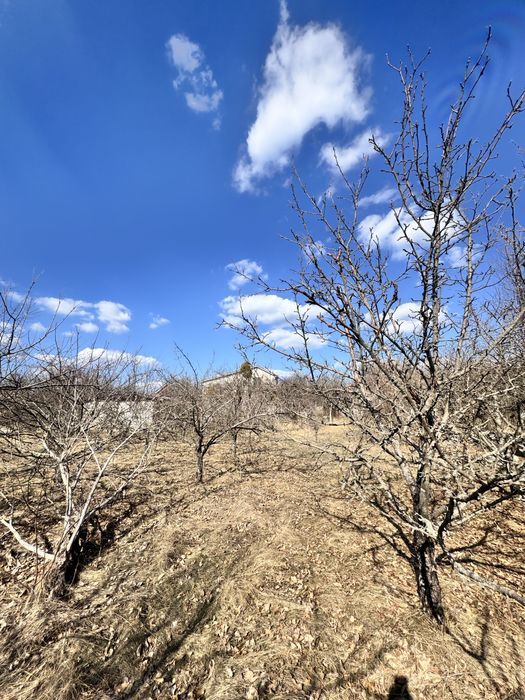 Продам дом в селе Андреевка