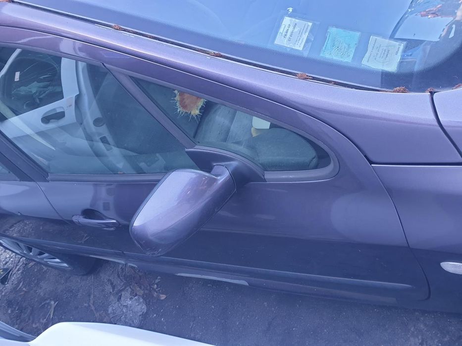 Porta frente direita PEUGEOT 307 (3A/C)