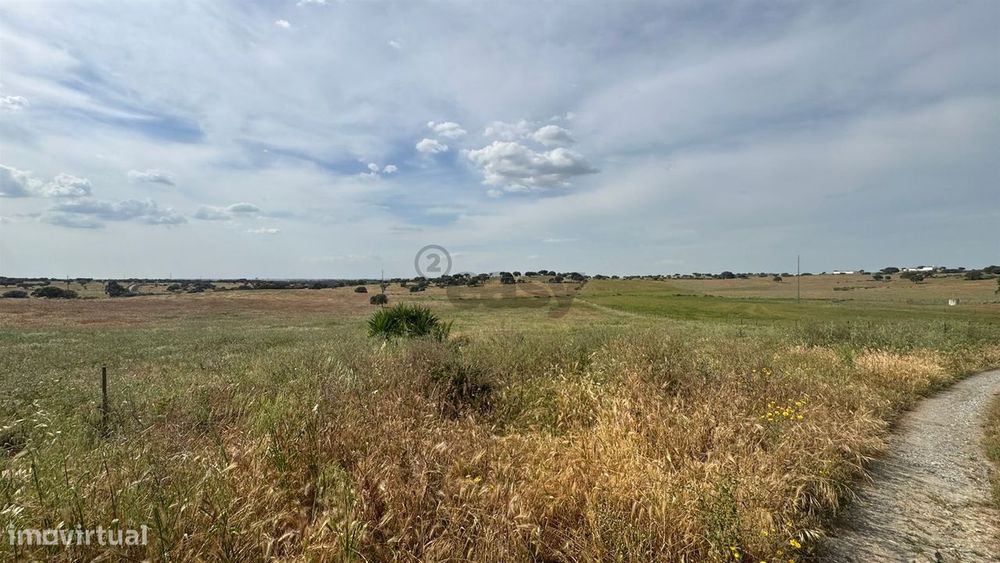Terreno Rústico com 37ha, Beringelinho, Castro Verde — Santa Bárbara de Padrões, Beja