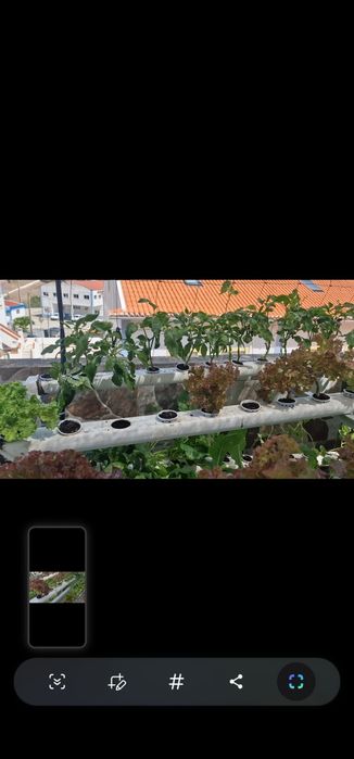 Vendo horta hidroponica