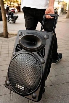 Coluna Amplificada DYNASONIC 1000W 15" Bluetooth + Microfones