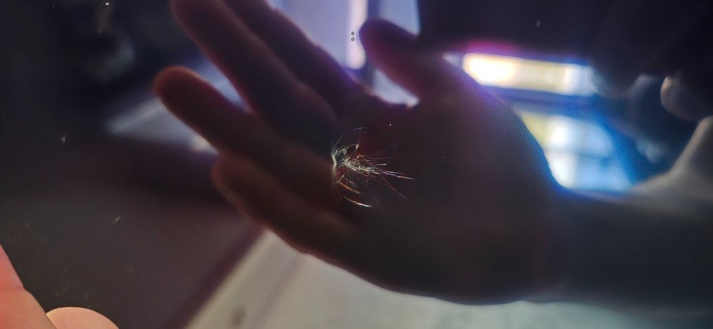 tv lg oled65cx3la,uszkodzona matryca
