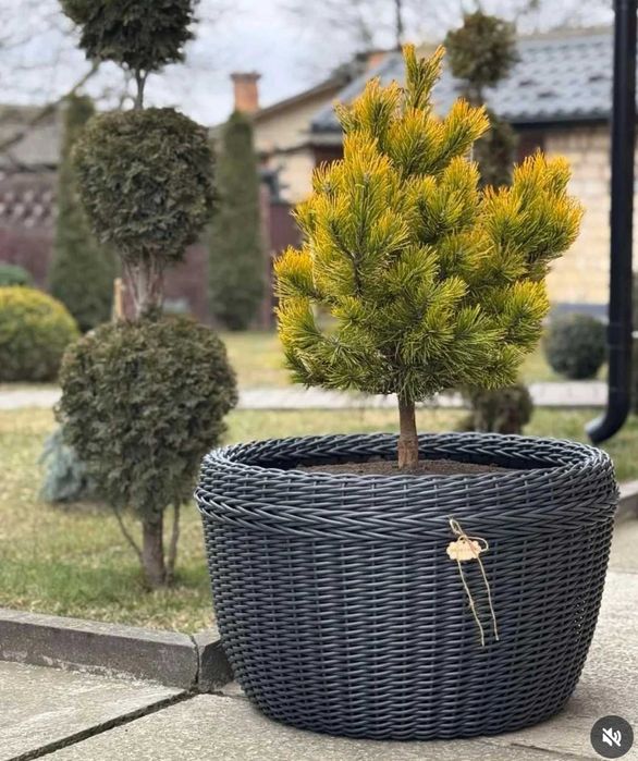 Кашпо з штучного ротангу